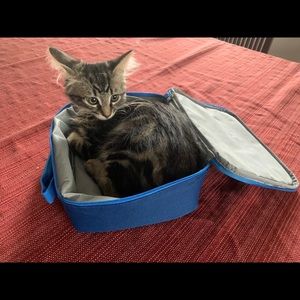 Meet your Posher, Anabel